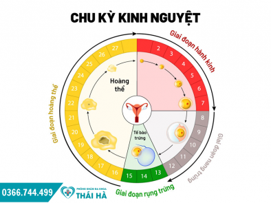 Chu Kỳ Kinh Nguyệt - Những Bất Thường Của Chu Kỳ Kinh Nguyệt Cần Lưu Ý